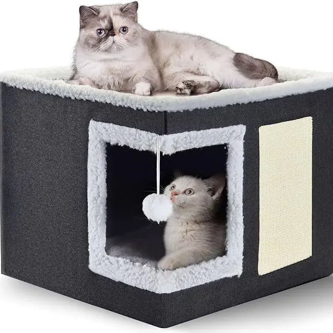 Maison Pour Chat SweetHome - Mi - a - ou