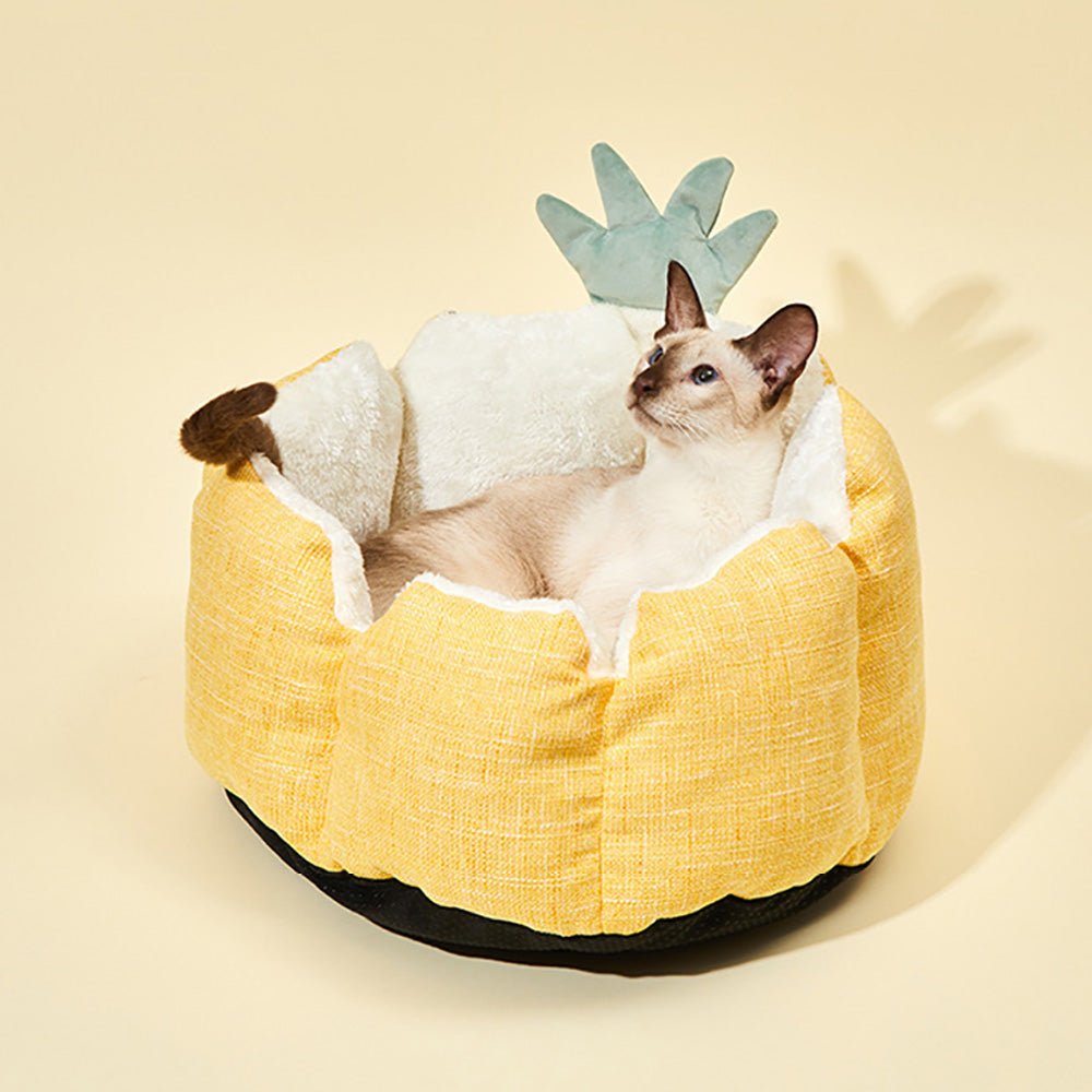 Nid pour chat Nianana™ - Mi - a - ou - Mi - a - ou