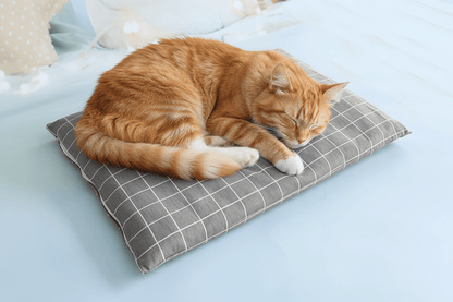 Tapis pour chat ComfyMate™ - Mi-a-ou - Mi-a-ou
