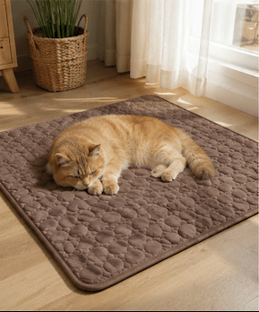 Tapis rafraîchissant pour chat Paradis’frais™ - Mi-a-ou - Mi-a-ou
